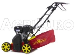 Wolf-Garten Scarificateur Thermique WOLF Garten VA 389 B - Moteur B&S Série 750 -Motofaucheuse Soldes scarificateur thermique wolf garten va 389 b moteur b s serie 750 scarificateur wolf garten va 389 b 8350 0 1457429780 500027 ariegg WG 389 B 00023