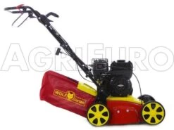 Wolf-Garten Scarificateur Thermique WOLF Garten VA 389 B - Moteur B&S Série 750 -Motofaucheuse Soldes scarificateur thermique wolf garten va 389 b moteur b s serie 750 scarificateur wolf garten va 389 b 8350 0 1457429780 500027 ariegg WG 389 B 00025