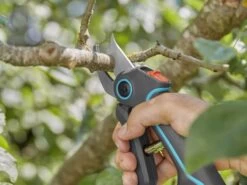 Sécateur à Batterie Gardena AssistCut Avec Batterie Intégrée 3.7V/2 Ah 38 Sécateur à Batterie Gardena AssistCut Avec Batterie Intégrée 3.7V/2 Ah -Motofaucheuse Soldes scateur batterie gardena assistcut avec batterie intgre 3 7v 2 ah caractristiques principales et dtails techniques 36067 4 1659360135 IMG 62e7d387327a5