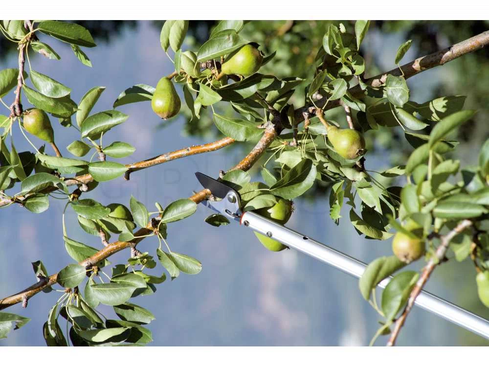 Sécateur De Taille Avec Perche Fixe 120 Cm Stocker Art. 502 - Ø 10 Mm - Coupe Orientable 14 Sécateur De Taille Avec Perche Fixe 120 Cm Stocker Art. 502 - Ø 10 Mm - Coupe Orientable – Image 12