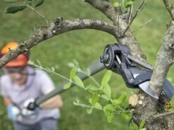 Sécateur De Taille à Batterie HELIUM+ Archman Avec Perche Télescopique - Tête De Coupe Orientable 38 Sécateur De Taille à Batterie HELIUM+ Archman Avec Perche Télescopique - Tête De Coupe Orientable -Motofaucheuse Soldes scateur de taille batterie helium archman avec perche tlescopique tte de coupe orientable tte de coupe inclinable 26480 9 1608635217 IMG 5fe1d351423e6