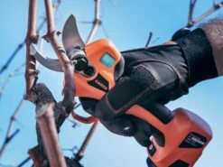 Sécateur électrique De Taille Bahco BCL20IB - 2 Batteries 14,4V/2.5 Ah - Diamètre De Coupe 32mm 24 Sécateur électrique De Taille Bahco BCL20IB - 2 Batteries 14,4V/2.5 Ah - Diamètre De Coupe 32mm -Motofaucheuse Soldes scateur lectrique de taille bahco bcl20ib 2 batteries 14 4v 2 5 ah diamtre de coupe 32mm scateur lectrique de taille batterie bahco bcl20ib 28072 1 1617715152 IMG 606c5fd074d64