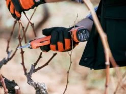 Sécateur électrique De Taille Bahco BCL20IB - 2 Batteries 14,4V/2.5 Ah - Diamètre De Coupe 32mm 28 Sécateur électrique De Taille Bahco BCL20IB - 2 Batteries 14,4V/2.5 Ah - Diamètre De Coupe 32mm -Motofaucheuse Soldes scateur lectrique de taille bahco bcl20ib 2 batteries 14 4v 2 5 ah diamtre de coupe 32mm scateur lectrique de taille batterie bahco bcl20ib 28072 1 1617715152 IMG 606c5fd07f340