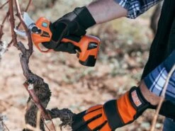 Sécateur électrique De Taille Bahco BCL20IB - 2 Batteries 14,4V/2.5 Ah - Diamètre De Coupe 32mm 35 Sécateur électrique De Taille Bahco BCL20IB - 2 Batteries 14,4V/2.5 Ah - Diamètre De Coupe 32mm -Motofaucheuse Soldes scateur lectrique de taille bahco bcl20ib 2 batteries 14 4v 2 5 ah diamtre de coupe 32mm scateur lectrique de taille batterie bahco bcl20ib 28072 1 1617715152 IMG 606c5fd0905a6