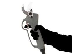 Sécateur électrique De Taille BlackStone B-PS 40 PRO - 1 Batterie 4 Ah 36 V 35 Sécateur électrique De Taille BlackStone B-PS 40 PRO - 1 Batterie 4 Ah 36 V -Motofaucheuse Soldes scateur lectrique de taille blackstone b ps 40 pro 1 batterie 4 ah 36 v scateur lectrique blackstone b ps 40 pro 28348 6 1618575299 IMG 60797fc364ad1