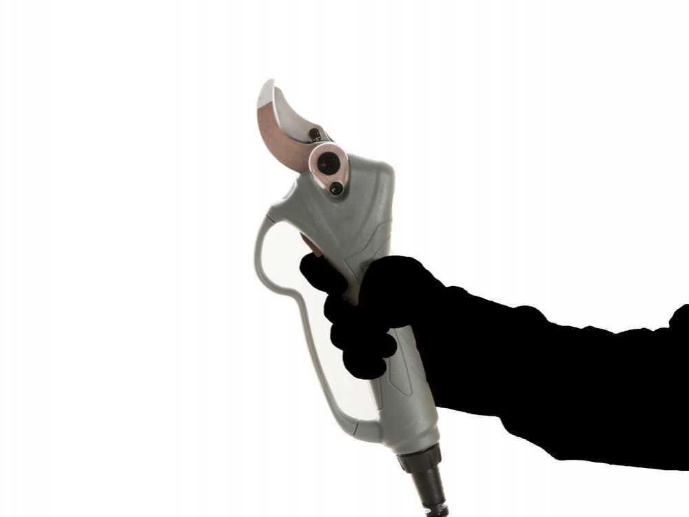 Sécateur électrique De Taille BlackStone B-PS 40 PRO - 1 Batterie 4 Ah 36 V 17 Sécateur électrique De Taille BlackStone B-PS 40 PRO - 1 Batterie 4 Ah 36 V – Image 15