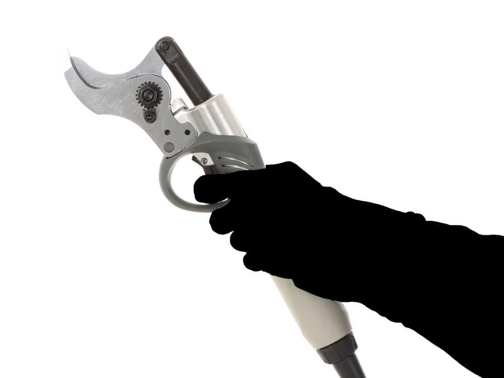 Sécateur électrique De Taille BlackStone B-PS 45 - 1 Batterie 4 Ah 36 V 4 Sécateur électrique De Taille BlackStone B-PS 45 - 1 Batterie 4 Ah 36 V – Image 2