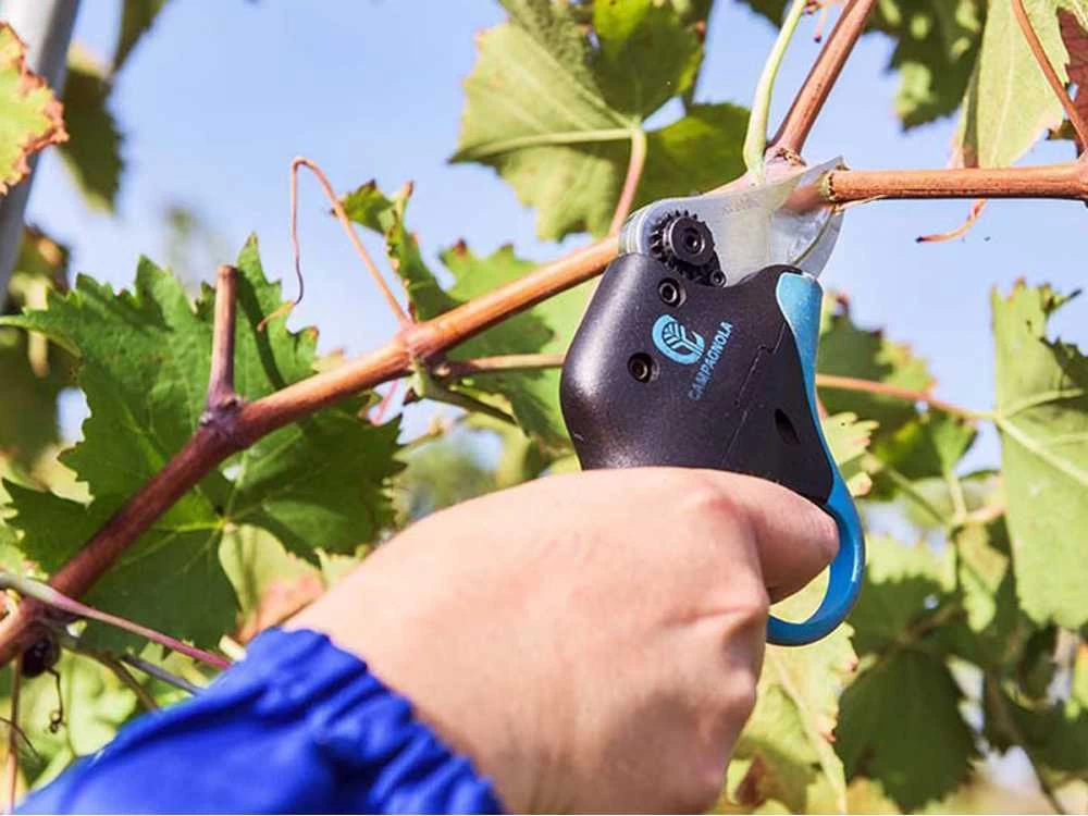 Sécateur électrique De Taille Easy S Campagnola - SANS BATTERIE 16 Sécateur électrique De Taille Easy S Campagnola - SANS BATTERIE – Image 14