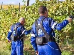 Sécateur électrique De Taille Easy S Campagnola - SANS BATTERIE 34 Sécateur électrique De Taille Easy S Campagnola - SANS BATTERIE -Motofaucheuse Soldes scateur lectrique de taille easy s campagnola sans batterie points forts 25391 2 1601556567 IMG 5f75d057bc127