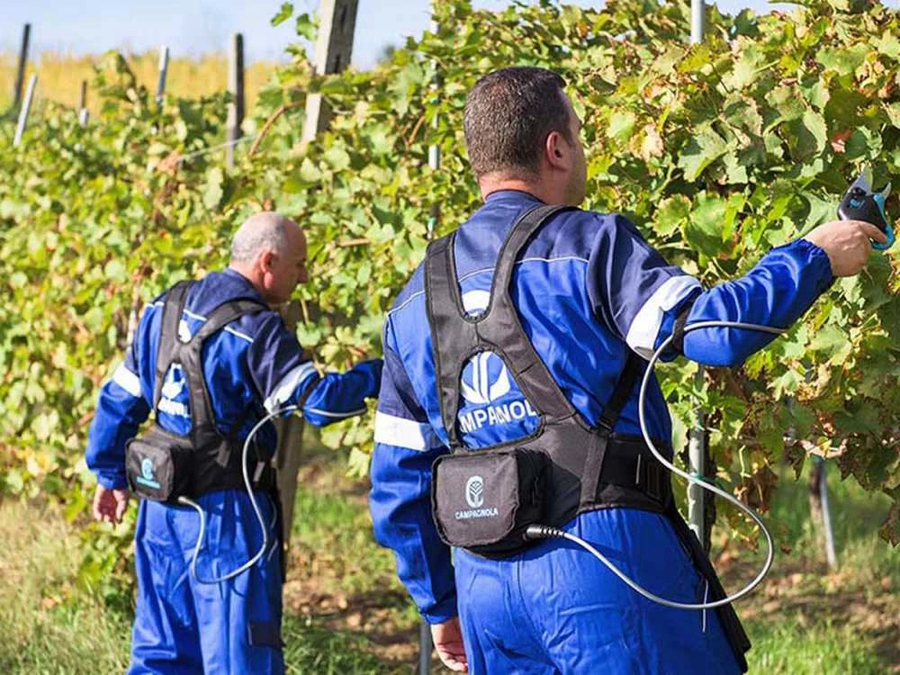 Sécateur électrique De Taille Easy S Campagnola - SANS BATTERIE 15 Sécateur électrique De Taille Easy S Campagnola - SANS BATTERIE – Image 13