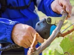 Sécateur électrique De Taille Easy S Campagnola - SANS BATTERIE