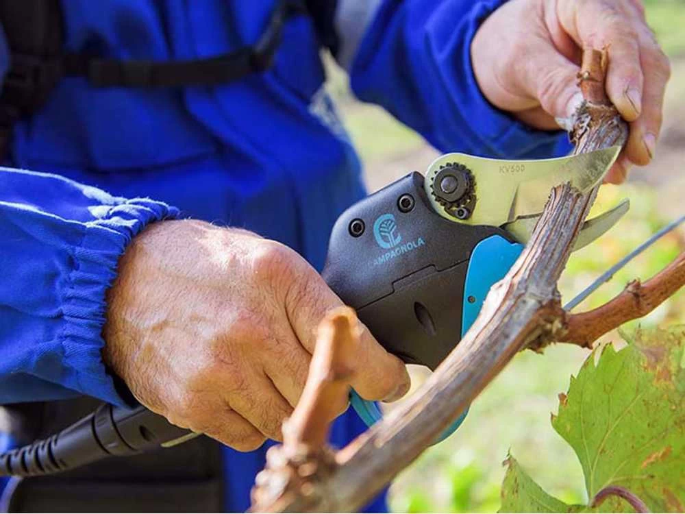 Sécateur électrique De Taille Easy S Campagnola - SANS BATTERIE 3 Sécateur électrique De Taille Easy S Campagnola - SANS BATTERIE