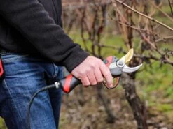 Sécateur électrique De Taille Infaco F3020 - Kit Standard Ø 40 Mm Pour Vergers Et Vignes 31 Sécateur électrique De Taille Infaco F3020 - Kit Standard Ø 40 Mm Pour Vergers Et Vignes -Motofaucheuse Soldes scateur lectrique de taille infaco f3020 kit standard 40 mm pour vergers et vignes points forts 36262 5 1660918359 IMG 62ff9a579370d