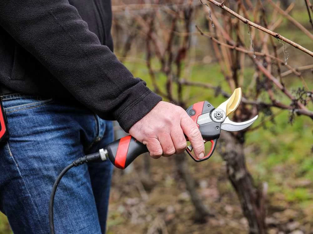 Sécateur électrique De Taille Infaco F3020 - Kit Standard Ø 40 Mm Pour Vergers Et Vignes 12 Sécateur électrique De Taille Infaco F3020 - Kit Standard Ø 40 Mm Pour Vergers Et Vignes – Image 10