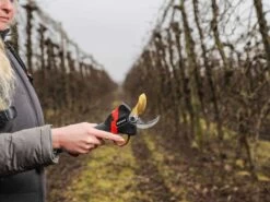 Sécateur électrique De Taille Infaco F3020 - Kit Standard Ø 40 Mm Pour Vergers Et Vignes 32 Sécateur électrique De Taille Infaco F3020 - Kit Standard Ø 40 Mm Pour Vergers Et Vignes -Motofaucheuse Soldes scateur lectrique de taille infaco f3020 kit standard 40 mm pour vergers et vignes points forts 36262 5 1660918359 IMG 62ff9a5797d4e