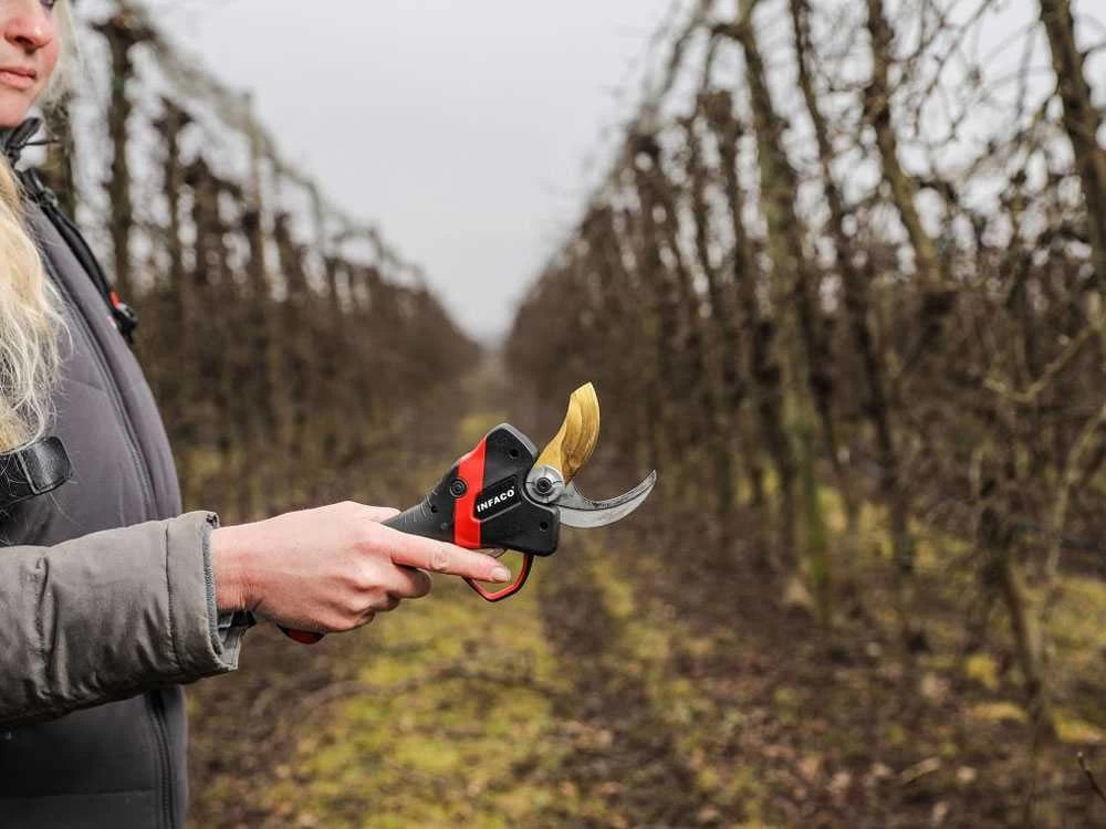 Sécateur électrique De Taille Infaco F3020 - Kit Standard Ø 40 Mm Pour Vergers Et Vignes 13 Sécateur électrique De Taille Infaco F3020 - Kit Standard Ø 40 Mm Pour Vergers Et Vignes – Image 11