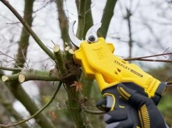 Sécateur électrique De Taille Stanley SFMCPP32M1-QW - Batterie De 20V/4Ah 28 Sécateur électrique De Taille Stanley SFMCPP32M1-QW - Batterie De 20V/4Ah -Motofaucheuse Soldes scateur lectrique de taille stanley sfmcpp32m1 qw batterie de 20v 4ah scateur lectrique stanley sfmcpp32m1 qw 40610 1 1678809918 IMG 64109b3ee4da9