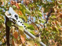 Sécateur électrique Easy 150 De Taille Campagnola - SANS BATTERIE 24 Sécateur électrique Easy 150 De Taille Campagnola - SANS BATTERIE -Motofaucheuse Soldes scateur lectrique easy 150 de taille campagnola sans batterie scateur lectrique campagnola easy 150 sans batterie 25398 2 1601555932 IMG 5f75cddc1f989