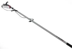 Sécateur Sur Perche Professionnel Ausonia - Sur Perche Télescopique De 176-300 Cm - Ø 40 Mm 28 Sécateur Sur Perche Professionnel Ausonia - Sur Perche Télescopique De 176-300 Cm - Ø 40 Mm -Motofaucheuse Soldes scateur sur perche professionnel ausonia sur perche tlescopique de 176 300 cm 40 mm scateur avec lame ausonia sur perche 12799 0 1522243362 IMG 8903