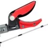 Sécateur Sur Perche Télescopique Extensible Ausonia De 192cm à 302cm- Avec Scie 2 Sécateur Sur Perche Télescopique Extensible Ausonia De 192cm à 302cm- Avec Scie -Motofaucheuse Soldes scateur sur perche tlescopique extensible ausonia de 192cm 302cm avec scie brancheur sur perche longue ausonia 12558 0 1519747648 okok