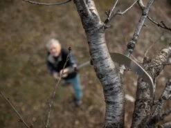 Scie De Jardin Stocker Corvo 430 TC Avec Perche Télescopique 195-310 Cm 31 Scie De Jardin Stocker Corvo 430 TC Avec Perche Télescopique 195-310 Cm -Motofaucheuse Soldes scie de jardin stocker corvo 430 tc avec perche tlescopique 195 310 cm scie trempe 32636 3 1643011722 IMG 61ee5e8ae2d4f