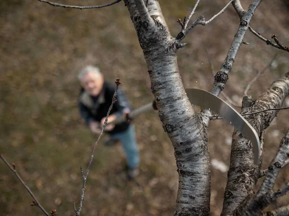 Scie De Jardin Stocker Corvo 430 TC Avec Perche Télescopique 195-310 Cm 12 Scie De Jardin Stocker Corvo 430 TC Avec Perche Télescopique 195-310 Cm – Image 10