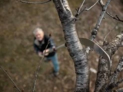 Scie De Jardin Stocker Corvo 430 TC Avec Perche Télescopique 230-385 Cm 31 Scie De Jardin Stocker Corvo 430 TC Avec Perche Télescopique 230-385 Cm -Motofaucheuse Soldes scie de jardin stocker corvo 430 tc avec perche tlescopique 230 385 cm scie trempe 32690 3 1643115467 IMG 61eff3cb7a75a