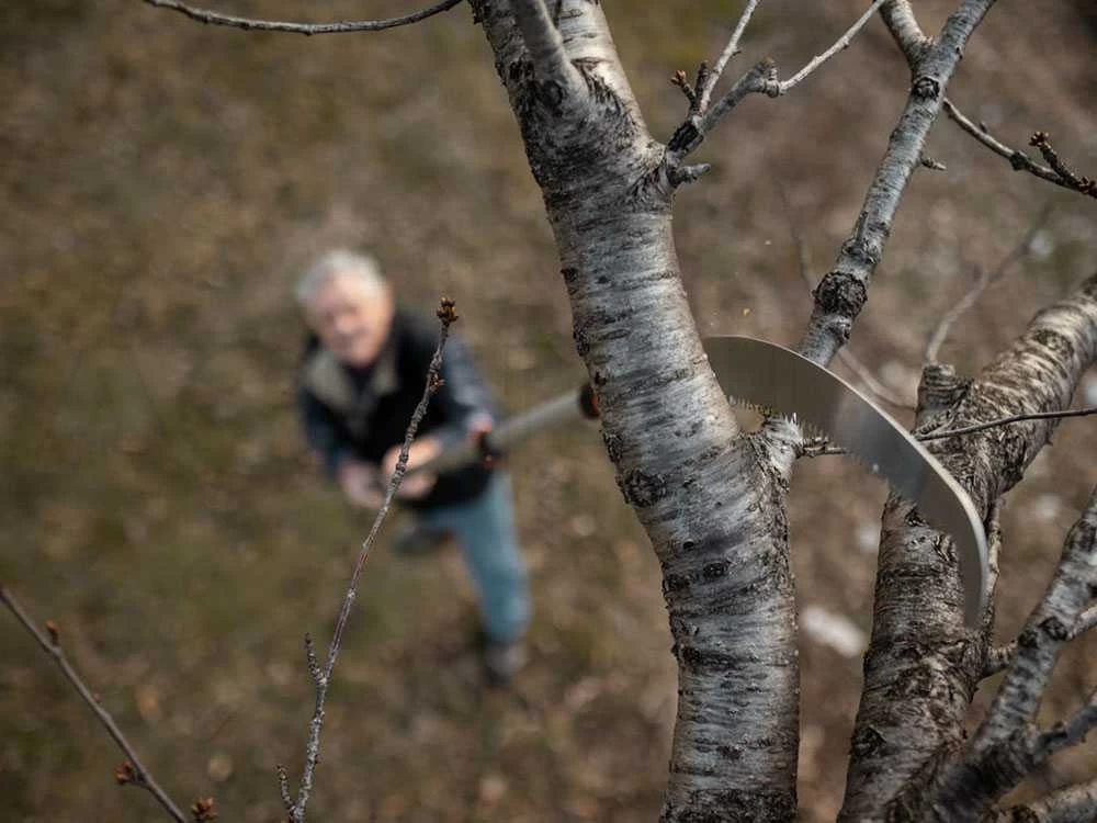 Scie De Jardin Stocker Corvo 430 TC Avec Perche Télescopique 230-385 Cm 12 Scie De Jardin Stocker Corvo 430 TC Avec Perche Télescopique 230-385 Cm – Image 10