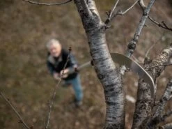 Scie De Jardin Stocker Corvo 430 TC Avec Poignée Télescopique 270-460 Cm -Motofaucheuse Soldes scie de jardin stocker corvo 430 tc avec poignee telescopique 270 460 cm scie trempee 32687 3 1643106406 IMG 61efd066eac91