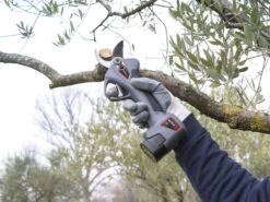 Sécateur à Batterie De Taille Ausonia Nativa Medium - 2 Batteries 16.8V - 2.5Ah Offertes 39 Sécateur à Batterie De Taille Ausonia Nativa Medium - 2 Batteries 16.8V - 2.5Ah Offertes -Motofaucheuse Soldes secateur a batterie de taille ausonia nativa medium 2 batteries 16 8v 2 5ah offertes points forts et donnees techniques 32438 2 1641306416 IMG 61d45930e6932