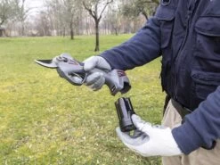 Sécateur à Batterie De Taille Ausonia Nativa Medium - 2 Batteries 16.8V - 2.5Ah Offertes 38 Sécateur à Batterie De Taille Ausonia Nativa Medium - 2 Batteries 16.8V - 2.5Ah Offertes -Motofaucheuse Soldes secateur a batterie de taille ausonia nativa medium 2 batteries 16 8v 2 5ah offertes points forts et donnees techniques 32438 2 1641306416 IMG 61d45930e7ba1