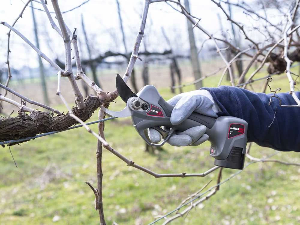 Sécateur à Batterie De Taille Ausonia Nativa Medium - 2 Batteries 16.8V - 2.5Ah Offertes 3 Sécateur à Batterie De Taille Ausonia Nativa Medium - 2 Batteries 16.8V - 2.5Ah Offertes