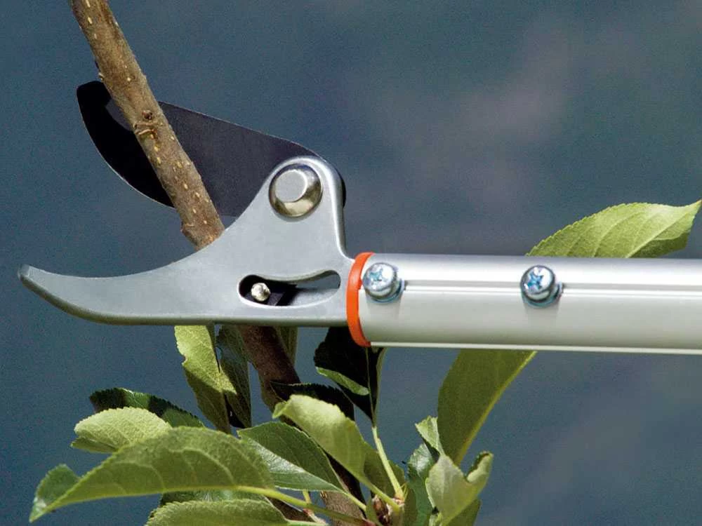 Sécateur De Taille Avec Perche Fixe 180 Cm Stocker Art. 504 - Ø 10 Mm - Coupe Orientable 14 Sécateur De Taille Avec Perche Fixe 180 Cm Stocker Art. 504 - Ø 10 Mm - Coupe Orientable – Image 12