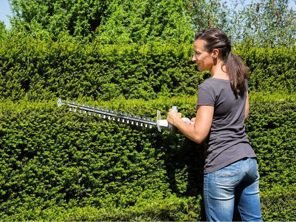 Taille-haie électrique à Batterie IKRA IAHS 20-1 - Longueur Lamier 54 Cm 11 Taille-haie électrique à Batterie IKRA IAHS 20-1 - Longueur Lamier 54 Cm – Image 9