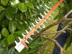 Taille-haie électrique Black & Decker BEHTS401-QS De 500 W Ave Lamier De 55 Cm 24 Taille-haie électrique Black & Decker BEHTS401-QS De 500 W Ave Lamier De 55 Cm -Motofaucheuse Soldes taille haie lectrique black decker behts401 qs de 500 w ave lamier de 55 cm taille haie lectrique black decker behts401 qs 17328 5 1565012416 BEHTS401 A7