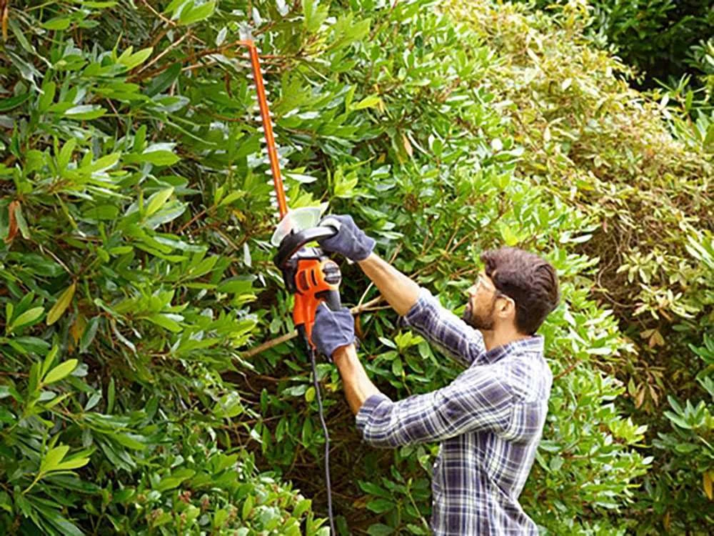 Taille-haie électrique Black & Decker BEHTS401C10-QS - 500W - Longueur Lame 55cm 3 Taille-haie électrique Black & Decker BEHTS401C10-QS - 500W - Longueur Lame 55cm