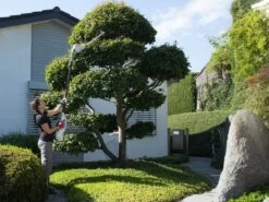 Taille-haie Sur Perche Télescopique à Batterie IKRA IATHS 40/43 - Lameir De 48 Cm SANS BATTERIE NI CHARGEUR 29 Taille-haie Sur Perche Télescopique à Batterie IKRA IATHS 40/43 - Lameir De 48 Cm SANS BATTERIE NI CHARGEUR -Motofaucheuse Soldes taille haie sur perche tlescopique batterie ikra iaths 40 43 lameir de 48 cm sans batterie ni chargeur perche lagueuse batterie ikra iaths 40 43 37170 15 1663751538 IMG 632ad5721c2b6