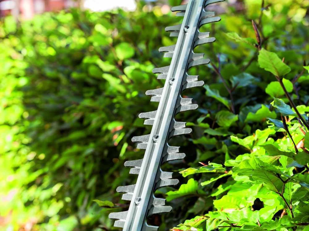 Taille-haies à Batterie EGO HT 2410E Brushless - 56V 2.5 Ah - 61cm - SANS BATTERIE NI CHARGEUR 7 Taille-haies à Batterie EGO HT 2410E Brushless - 56V 2.5 Ah - 61cm - SANS BATTERIE NI CHARGEUR – Image 5