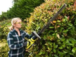 Taille-haies à Batterie RYOBI RHT36B61R - 36V - 2Ah - Lame De 60cm 19 Taille-haies à Batterie RYOBI RHT36B61R - 36V - 2Ah - Lame De 60cm -Motofaucheuse Soldes taille haies batterie ryobi rht36b61r 36v 2ah lame de 60cm lamier et poigne 29252 2 1621493210 IMG 60a605da9f401