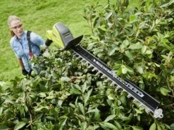 Taille-haies à Batterie Sur Perche Télescopique RYOBI RY36PHT50A-0 36V - 2Ah - Lame De 50cm 22 Taille-haies à Batterie Sur Perche Télescopique RYOBI RY36PHT50A-0 36V - 2Ah - Lame De 50cm -Motofaucheuse Soldes taille haies batterie sur perche tlescopique ryobi ry36pht50a 0 36v 2ah lame de 50cm lamier et poigne 40646 2 1678894873 IMG 6411e7193f65e