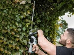 Taille-haies électrique à Batterie Batavia - Lame De 51 Cm En Acier - SANS BATTERIE NI CHARGEUR 24 Taille-haies électrique à Batterie Batavia - Lame De 51 Cm En Acier - SANS BATTERIE NI CHARGEUR -Motofaucheuse Soldes taille haies lectrique batterie batavia lame de 51 cm en acier sans batterie ni chargeur taille haies lectrique batterie batavia 32934 5 1644399273 IMG 62038aa91b428