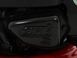 Tondeuse Autotractée Ama TRX 461B - B&S - Ramassage, Mulching, éjection Latérale Et Arrière 39 Tondeuse Autotractée Ama TRX 461B - B&S - Ramassage, Mulching, éjection Latérale Et Arrière -Motofaucheuse Soldes tondeuse autotracte ama trx 461b b s ramassage mulching jection latrale et arrire moteur briggs stratton srie 450 e 16047 24 1554126033 IMG 0121