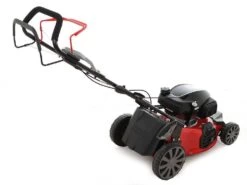 Tondeuse Autotractée Ama TRX 481H Bac, Mulching, éjection Latérale, Postérieure - Honda GCVx 30 Tondeuse Autotractée Ama TRX 481H Bac, Mulching, éjection Latérale, Postérieure - Honda GCVx -Motofaucheuse Soldes tondeuse autotracte ama trx 481h bac mulching jection latrale postrieure honda gcvx tondeuse ama trx 481h 16125 1 1554306653 IMG 0251