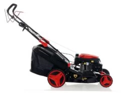 Tondeuse Autotractée Blue Bird Sprint B46 T - 4 En 1 - Coupe De 46 Cm 28 Tondeuse Autotractée Blue Bird Sprint B46 T - 4 En 1 - Coupe De 46 Cm -Motofaucheuse Soldes tondeuse autotracte blue bird sprint b46 t 4 en 1 coupe de 46 cm tondeuse autotracte blue bird sprint b46 t 35835 1 1658148577 IMG 62d556e185250