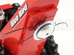 Tondeuse Débroussailleuse Domino Moteur Briggs&Stratton 850 Tondeuse Broyeuse 25 Tondeuse Débroussailleuse Domino Moteur Briggs&Stratton 850 Tondeuse Broyeuse -Motofaucheuse Soldes tondeuse dbroussailleuse domino moteur briggs stratton 850 tondeuse broyeuse systme de coupe avec tte fil 5326 2 1393338385 IMG 0294