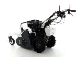 Tondeuse Débroussailleuse à Fléaux Autotractée Blackstone FWM 590 -Motofaucheuse Soldes tondeuse dbroussailleuse flaux autotracte blackstone fwm 590 tondeuse dbroussailleuse flaux autotracte blackstone fwm 590 34226 1 1651055899 IMG 62691d1b06c37