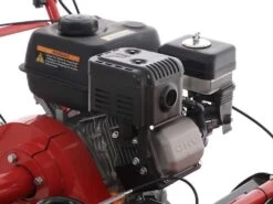 Tondeuse Débroussailleuse à Fléaux Autotractée Blue Bird SG0812A - Moteur Loncin LC175F-2 -Motofaucheuse Soldes tondeuse dbroussailleuse flaux autotracte blue bird sg0812a moteur loncin lc175f 2 moteur loncin lc175f 2 16650 8 1557993622 IMG 3512