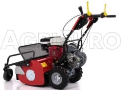 Tondeuse Débroussailleuse à Fléaux Autotractée GINKO-MGM TT 680 Avec Moteur Honda GX200 -Motofaucheuse Soldes tondeuse dbroussailleuse flaux autotracte ginko mgm tt 680 avec moteur honda gx200 dbroussailleuse ginko mgm mod tt 680 10099 1 1487579988 IMG 5885