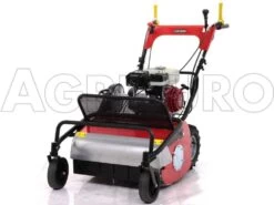 Tondeuse Débroussailleuse à Fléaux Autotractée GINKO-MGM TT 680 Avec Moteur Honda GX200 -Motofaucheuse Soldes tondeuse dbroussailleuse flaux autotracte ginko mgm tt 680 avec moteur honda gx200 dbroussailleuse ginko mgm mod tt 680 10099 1 1487579989 IMG 5888