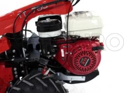 Tondeuse Débroussailleuse à Fléaux Autotractée GINKO-MGM TT 786 Avec Moteur Honda GX270 37 Tondeuse Débroussailleuse à Fléaux Autotractée GINKO-MGM TT 786 Avec Moteur Honda GX270 -Motofaucheuse Soldes tondeuse dbroussailleuse flaux autotracte ginko mgm tt 786 avec moteur honda gx270 moteur honda gx 270 10107 8 1487610694 IMG 6202